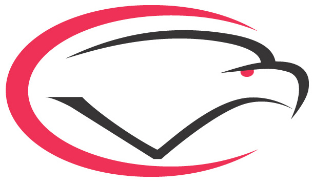 System Logo